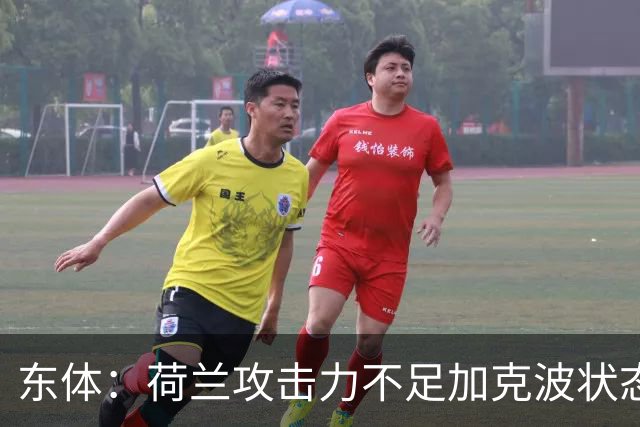 东体：荷兰攻击力不足加克波状态糟糕，防线廷伯伤退带来麻烦