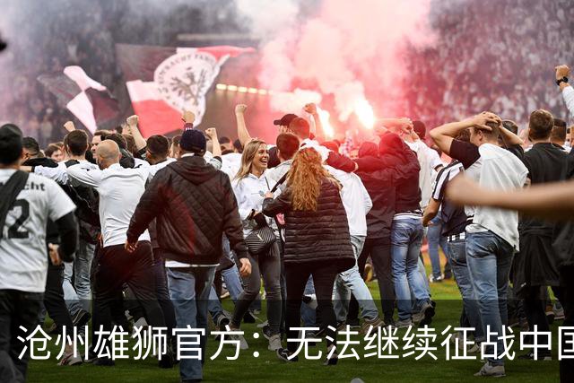 沧州雄狮官方：无法继续征战中国足球职业联赛